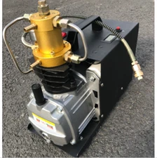 NEW High Pressure Electric Pump PCP Air Compressor for Paintball Air Rifles 110v