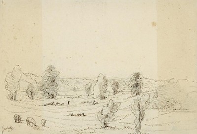 Garbally County Wicklow Ireland - Antique Pen & Ink Drawing - 19th Century