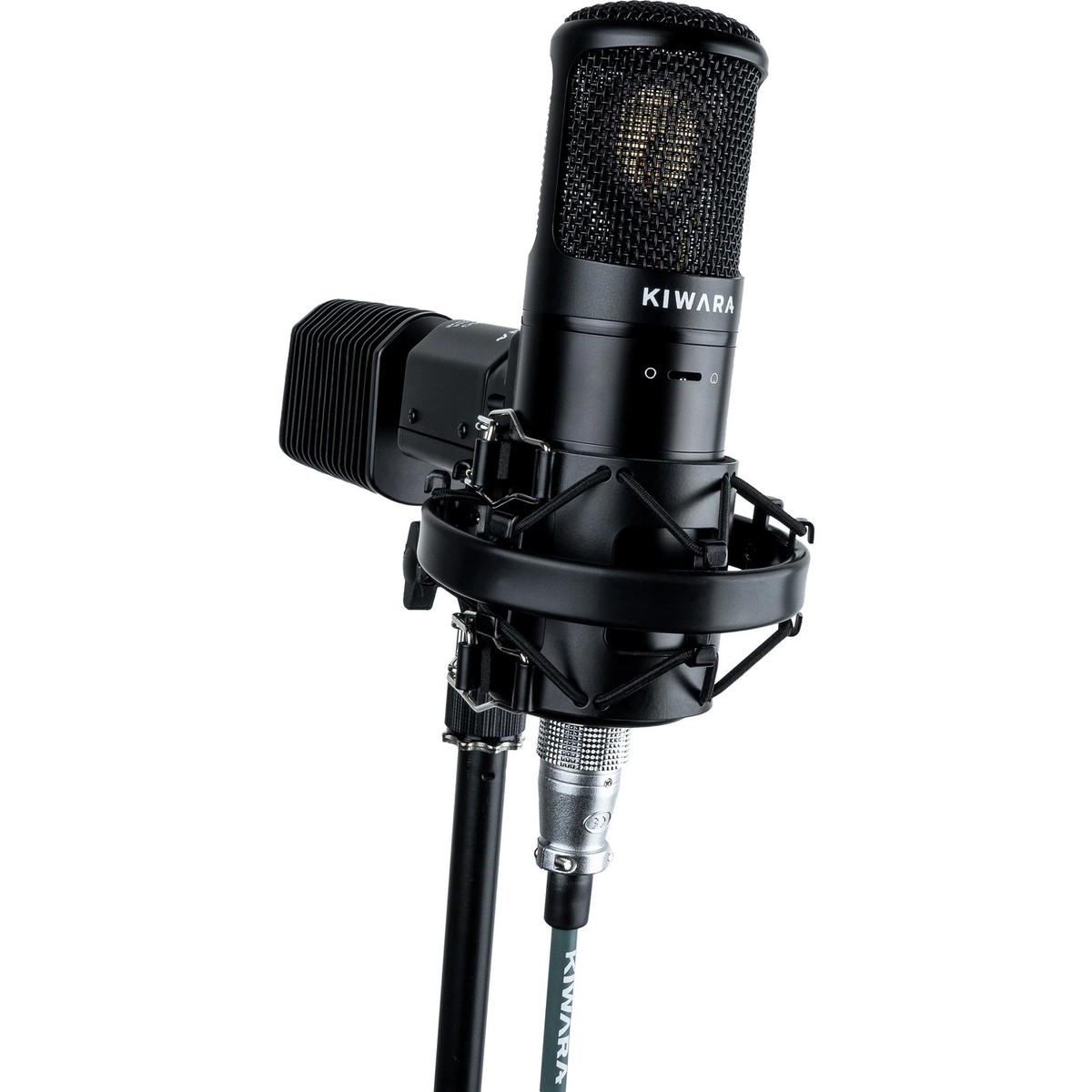 Kiwara Audio KA-800G Large Diaphragm Tube Condenser Microphone | eBay