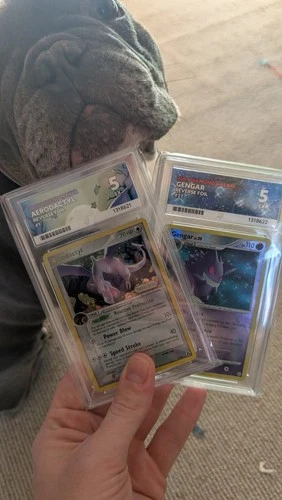 Aerodactyl And Gengar Pokémon Bundle ACE 5