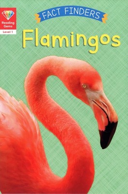 Fact Finders: Flamingos