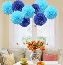 12 PCs Mixed Tissue Paper Pompoms Pom Poms Hanging Garland Wedding Party Decor