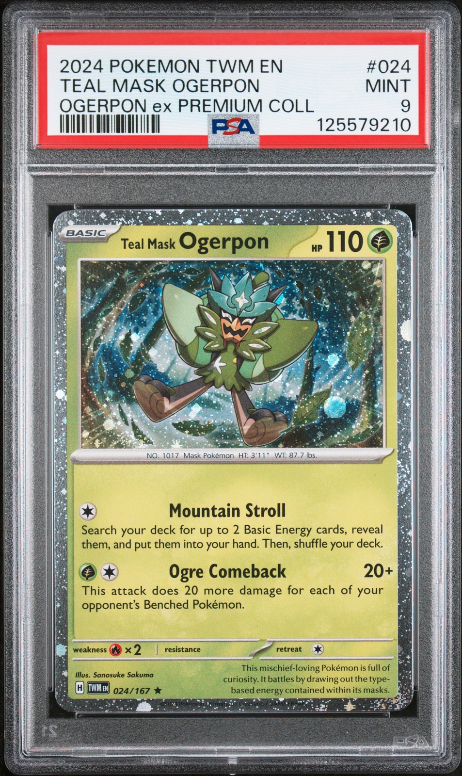 Teal Mask Ogerpon #24