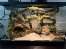 6.5 FT Moss Vine for Reptiles Bendable Climbing Vines Reptile Tank Accessories