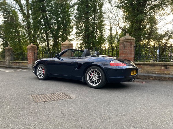 Image Placeholders2_edited.jpg