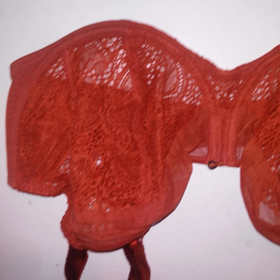 Sutiã Fantasie 38G ferrugem laranja minimizador acabamento de renda sem forro transparente com aro novo - Imagem 4 de 4