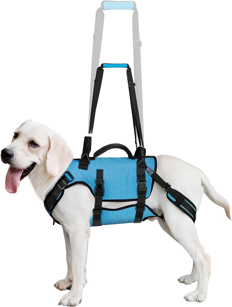 Large dog top carry harness