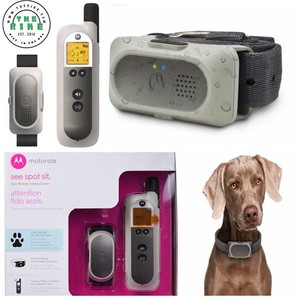 enzymatic dog toothpaste