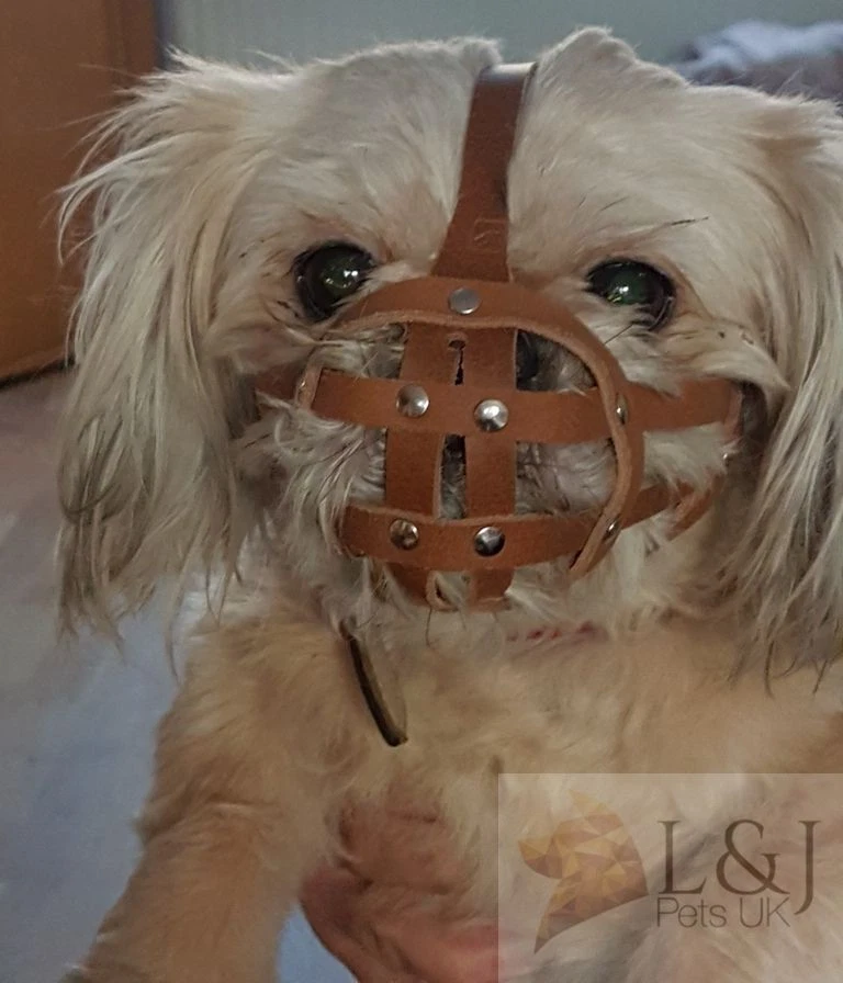 Leather Dog Muzzle Shih Tzu other flat face faced short snout dogs Durable