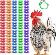 Chicken Leg Bands with 5 Colors Numbered Chicken Rings Identification Band Ch...
