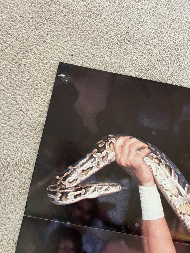 PÓSTER VINTAGE ORIGINAL WWE/WWF -2 caras plegado - Jake The Snake Roberts - 21x32 Foto 3 de 4
