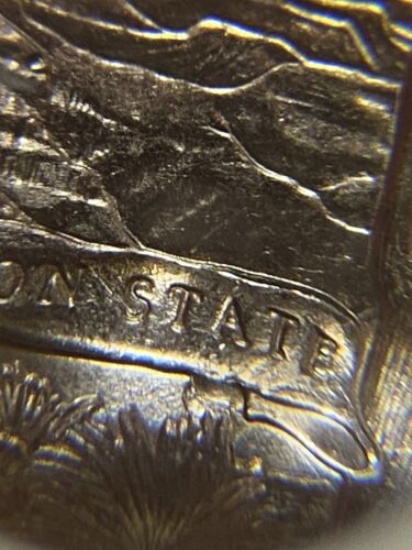 2008 P Arizona Quarter Die Breaks/Chips Double Die Lettering Extra Cactus Errors - Picture 19 of 19