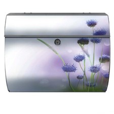 Briefkasten Blau Blume Garten Florist Korn Blume Natur Pflanze Wiese Flora