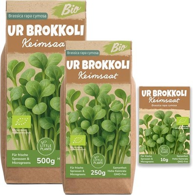 Bio UR-Brokkoli Sprossen Samen [250g] - UR-Brokkoli-Samen mit über 95% 