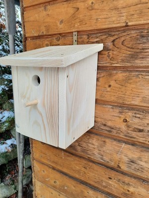 Spatzen Meisen Nistkasten Holz  Brutkasten Vögel