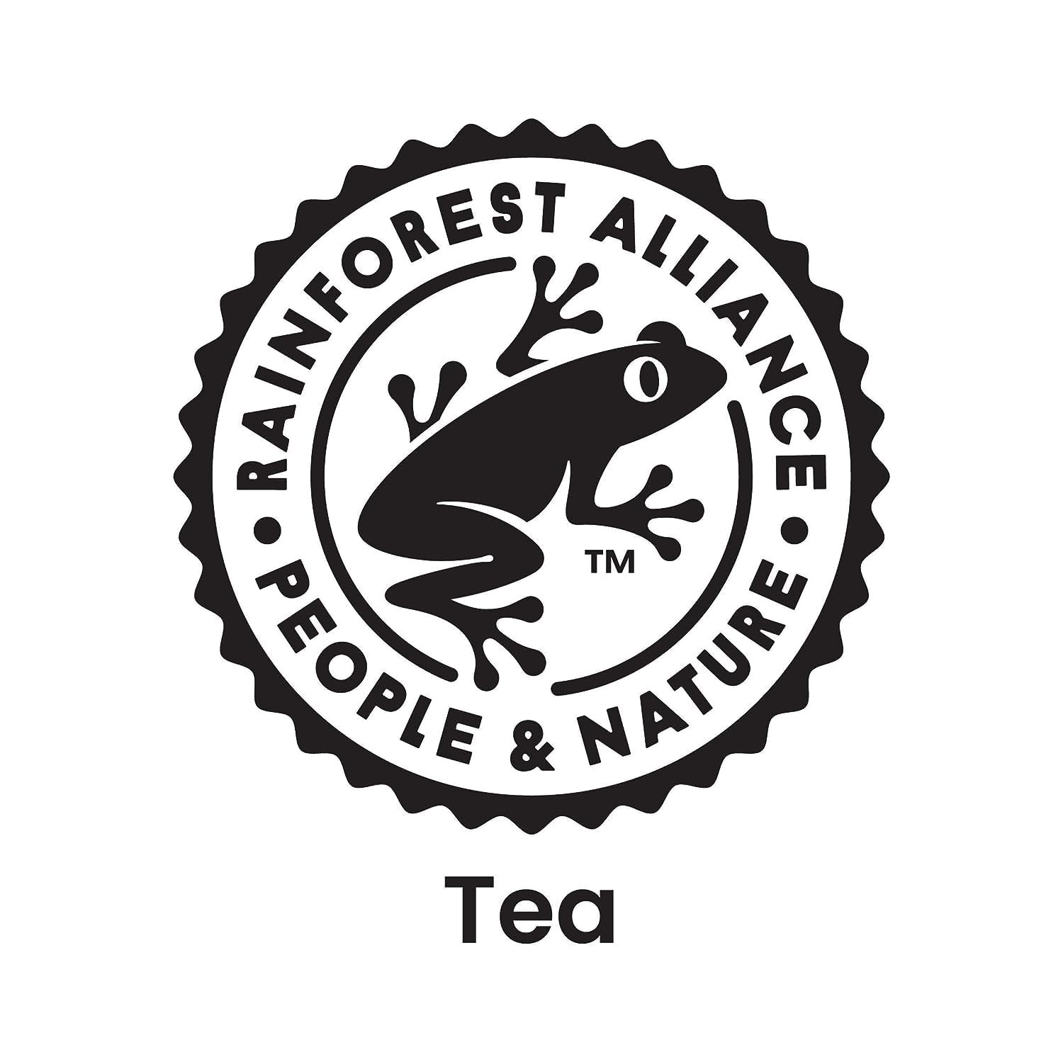Unsweetened Green Tea Bottles Pack