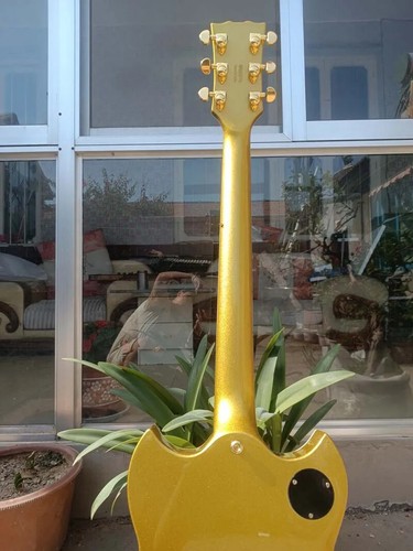Hot sale electric guitar gold and silver paint, ebony fingerboard, ABR-1 bridge - Picture 4 of 13