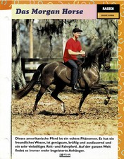 Das Morgan Horse (Caballos Ligeros) - Tarjeta informativa