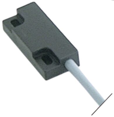 Lainox Magnetschalter L 37MM B 16MM 1NO 250V 0,04A P MAX. 10W Anschluss kabel