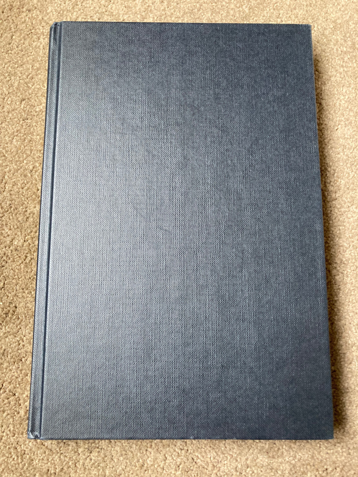 Detention and its Alternatives under International Law by Lorna McGregor