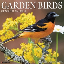 Garden Birds 2026 12" x 12" Wall Calendar (free shipping)