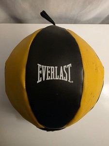 Everlast Speed Ball Boxing Fitness Double End Striking Punching Kicking Home Gym