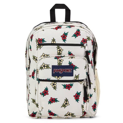 JanSport Backpack School 17