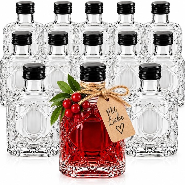 12 X Glasflaschen 250Ml LiköRflaschen Schnapsflaschen Saftflaschen Zum BefüLlen-image