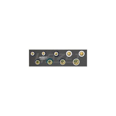 Hazet 163-252/9  Tool set, TORX  