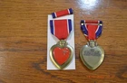 Unseen Wounds Medal & Ribbon - Agent Orange PTSD training accidents Camp Lejeune