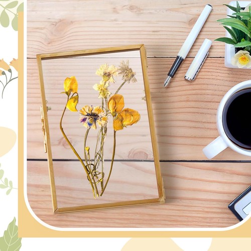 2 Pcs 4 x 6 Glass Pressed Flower Frame Gold Brass Clear Double Glass Floating... - Picture 6 of 7