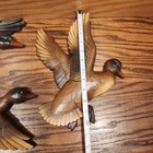 Picture 5 of 20