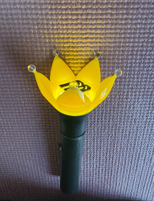 BIGBANG Official Pen Light Stick 10th Anniversary Portable Charger