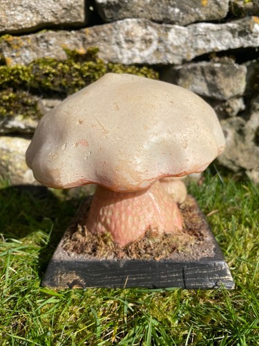 Modelo de enseñanza escolar vintage SATANS BOLETE HONGO boletus satanus taburete de sapo - Imagen 3 de 11