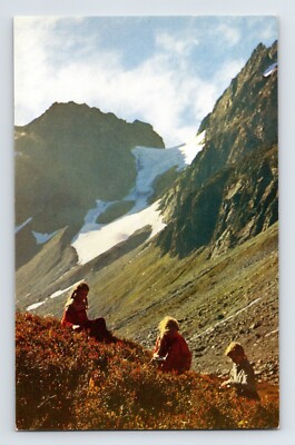 Postcard Washington Cascade Mountains WA Huckleberry Pass 1960s Unposted Chrome