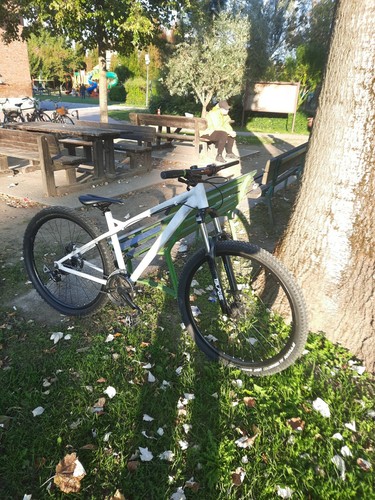Olympia Cobra 27,5 | eBay