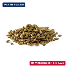 Pumpkin Seeds (Pepitas) | Roasted and Salted | No Shell | Vegan (3 LB)