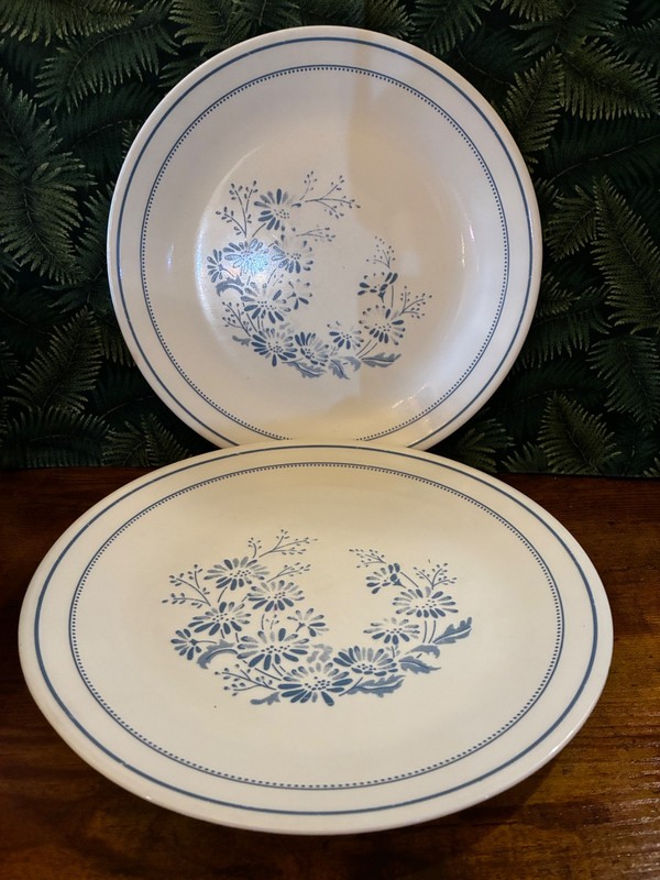 💙LOT of TWO discontinued COLONIAL MIST Corelle Dinner Plates Size 10 1/4”💙