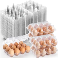 60 Pack Plastic Egg Cartons Cheap Bulk, One Dozen Clear Empty Egg Cartons for...