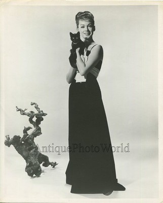 Barbara Rush wunderschöne Schauspielerin mit schwarzer Katze Kätzchen Vintage Foto