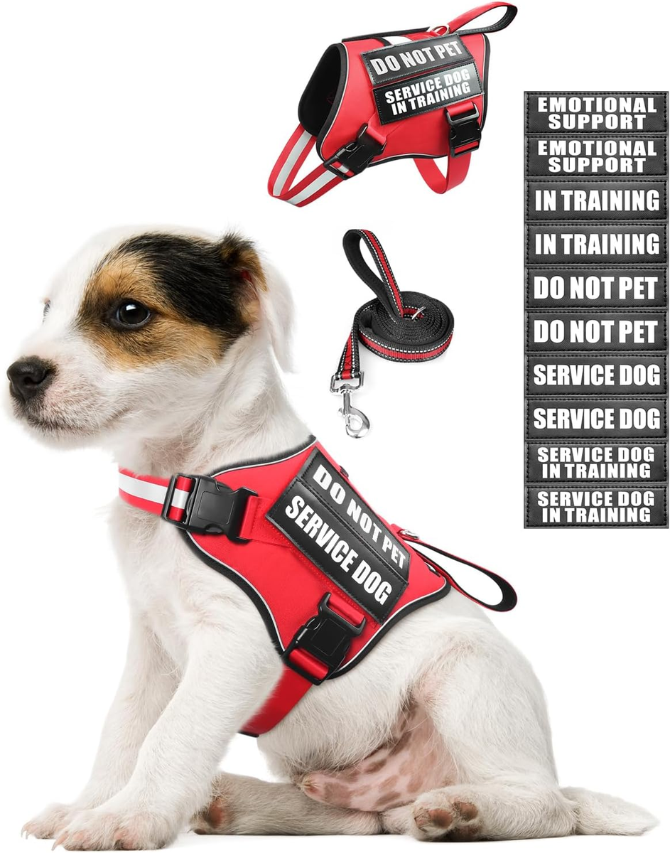 pet supplies easy on and off dog harness