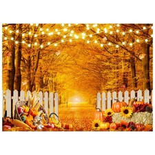 7X5FT Fall Photography Backdrop, Thanksgiving, Autumn Pumpkin Harvest, Decor