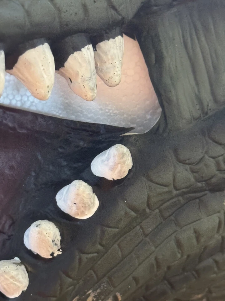 Halloween Fun World Dinosaur T-Rex Adult Mask - Image 4 of 4