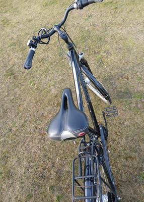 Raleigh Trekkingrad Schwarz 28 Zoll mit Gepäckträger, Vorderfederung, Reflektor 