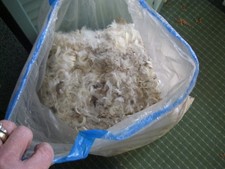 Feather and Down Pillow Stuffing