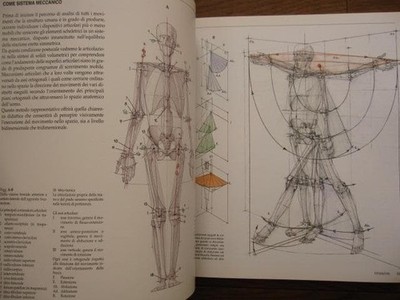 Struttura uomo in movimento Manuale di anatomia artistica