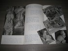 Foto 2 di 3