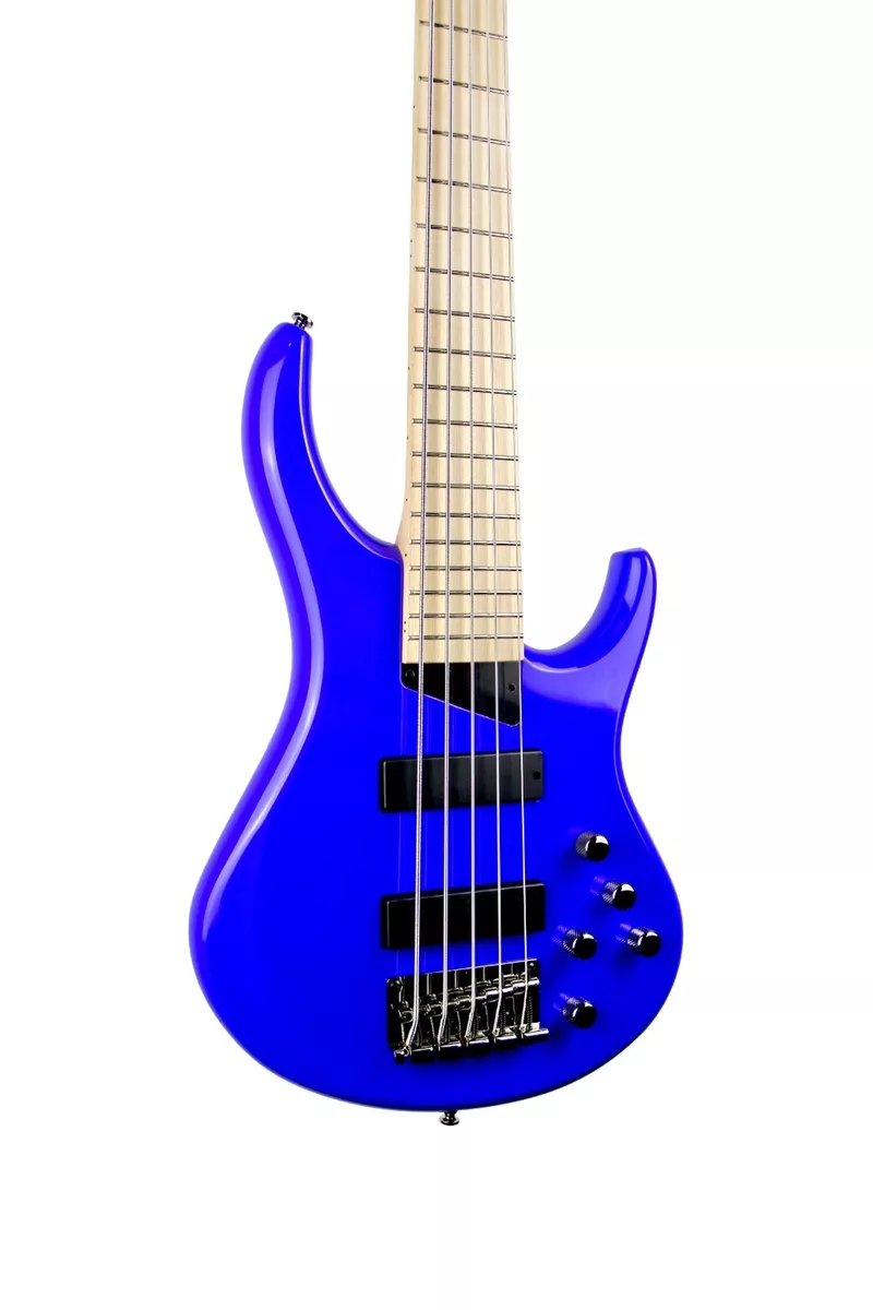 Mtd gig bag cheap