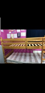 single bunk bed frame