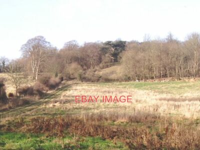 FOTO LANDSCHAFT SÜDLICH VON KESTON AUFGENOMMEN VOM LONDONER SCHLEIFENWANDERWEG.